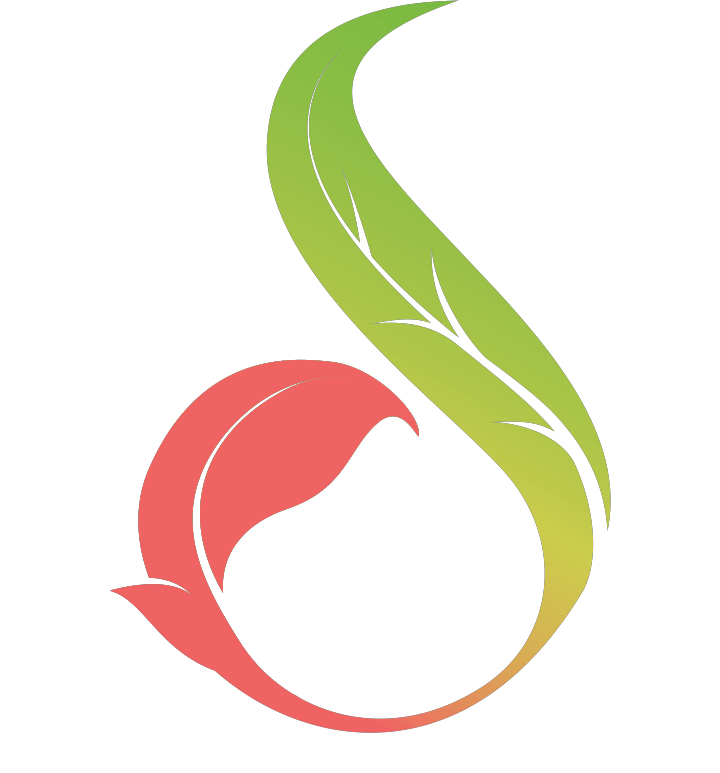 Windster Logo